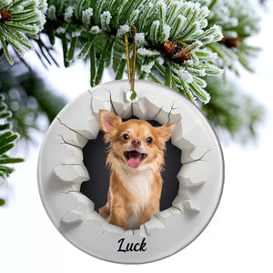 Custom Photo Snow Hole Funny Dog Cat Pet - Personalized Circle Ceramic Ornament