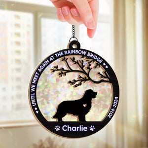 Until We Meet Again At The Rainbow Bridge - Memorial Personalized Window Hanging Suncatcher Gift For Pet Lovers