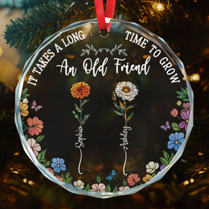 Long Time To Grow Old Friends - Personalized Anniversary Glass Ornament
