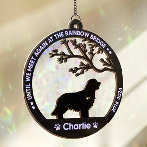 Until We Meet Again At The Rainbow Bridge - Memorial Personalized Window Hanging Suncatcher Gift For Pet Lovers