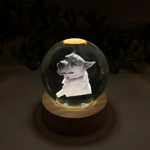 Personalized Crystal Ball Night Light For Pet lovers