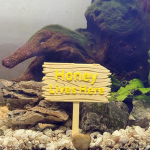 Personalized Plastic Forest Sign for Fishtanks, Aquariums