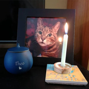 Personalized Pet Cremation,Pet Paw Urn Cat with Name and Date