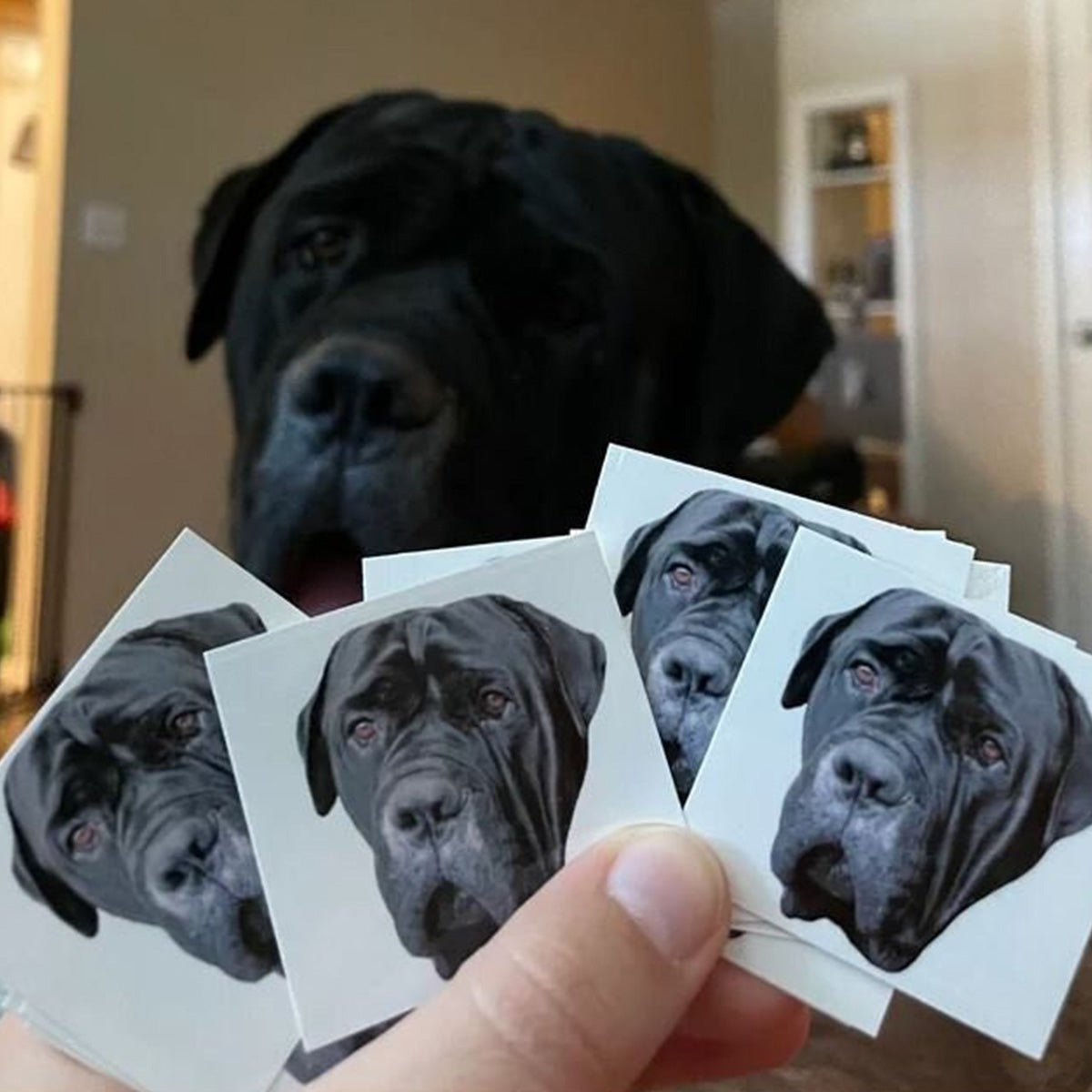 Personalized Tattoo-Custom TemporaryTattoo, Bachelorette Party Favor