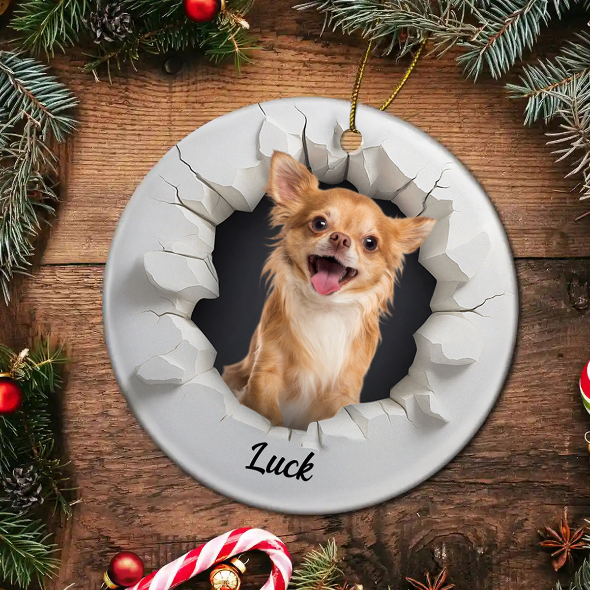 Custom Photo Snow Hole Funny Dog Cat Pet - Personalized Circle Ceramic Ornament