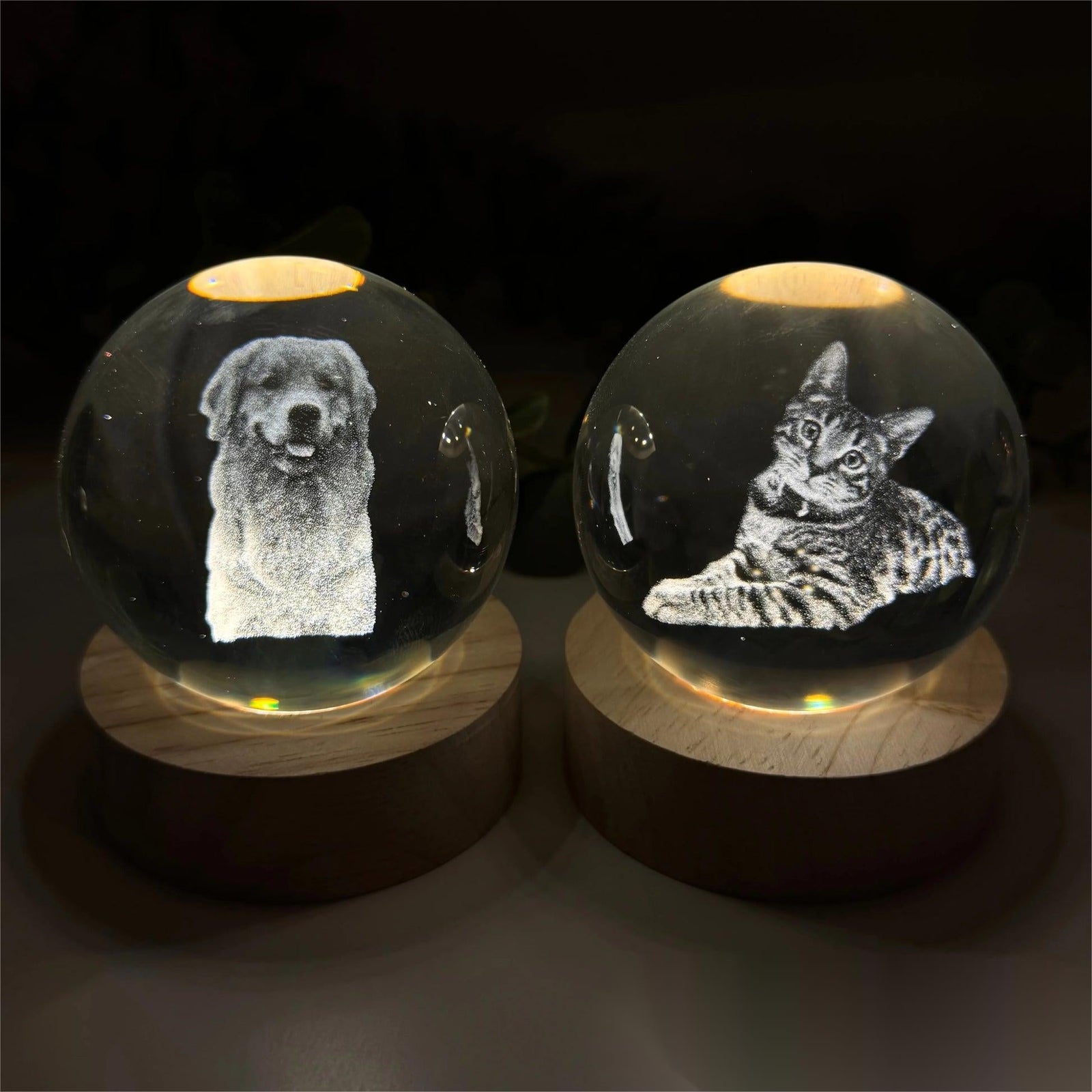 Personalized Crystal Ball Night Light For Pet lovers
