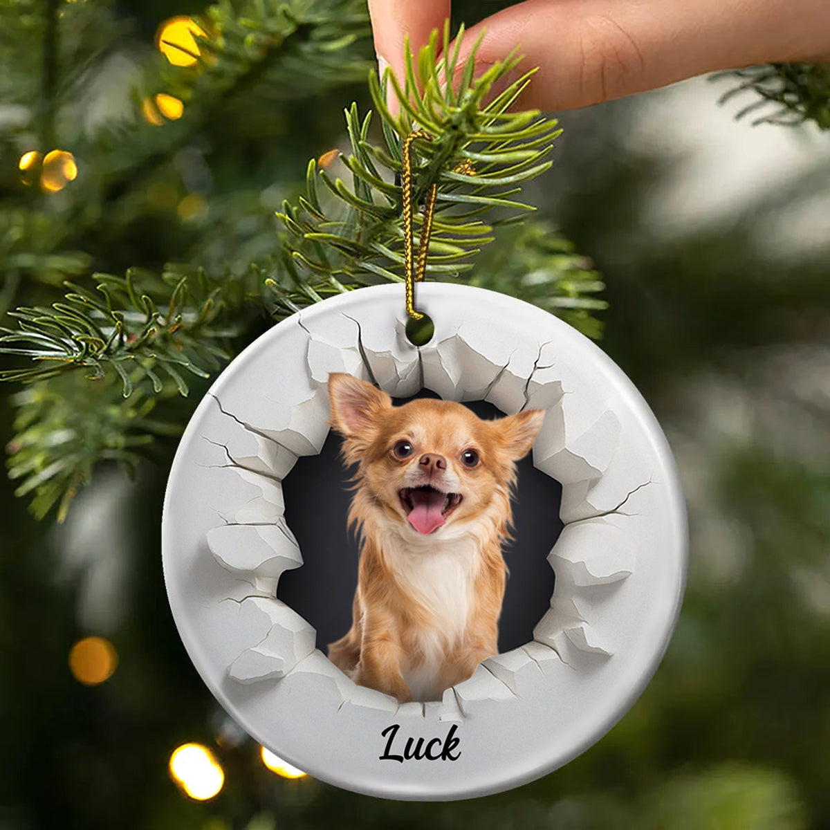 Custom Photo Snow Hole Funny Dog Cat Pet - Personalized Circle Ceramic Ornament