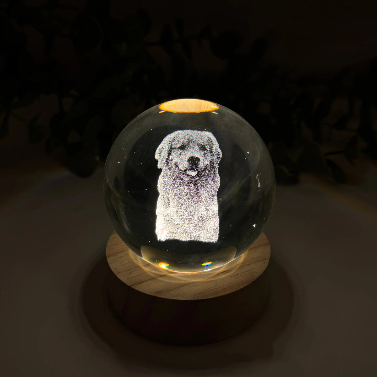 Personalized Crystal Ball Night Light For Pet lovers