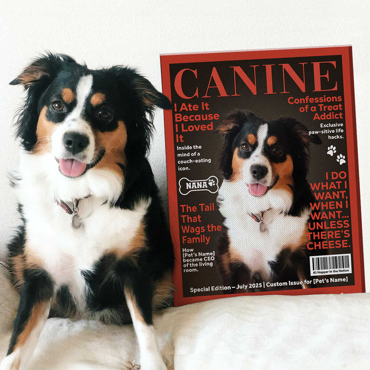 Personalized Custom Pet Magazine Cover Canvas, Custom Pet Portrait, Pet From Photo