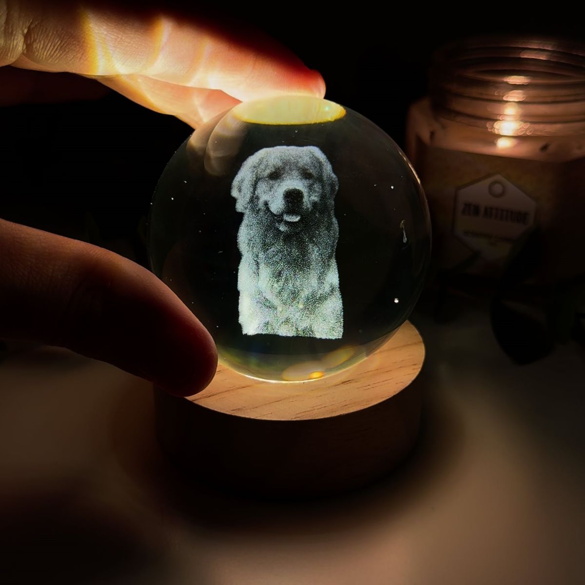 Personalized Crystal Ball Night Light For Pet lovers