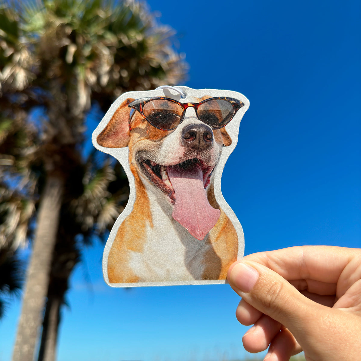 Personalized Photo Car Air Freshener
