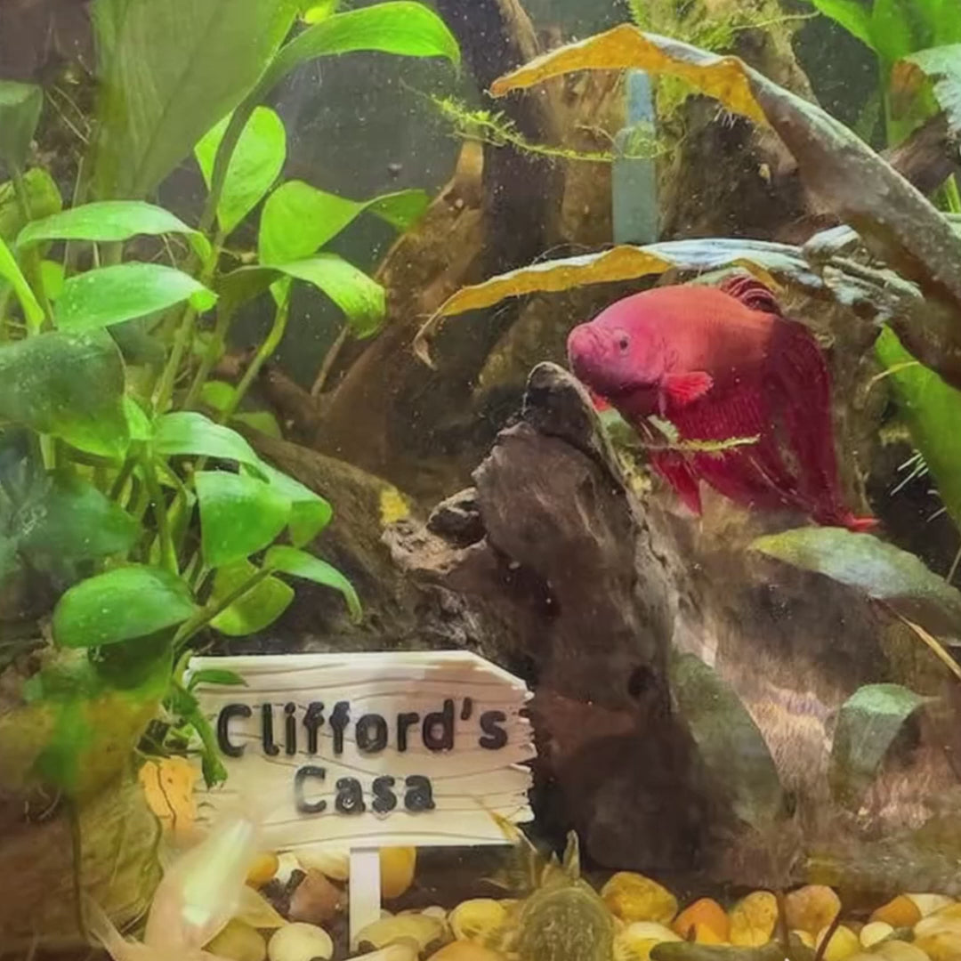 Personalized Plastic Forest Sign for Fishtanks, Aquariums